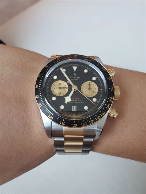 tudor chrono s&g